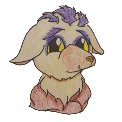 sean.png